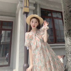 批发实拍2024夏季新款茶歇法式<b class='q'>碎花</b>泡泡袖大码连衣裙