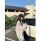 粉色条纹衬衫女2023夏季韩版慵懒风衬衣宽松长袖防晒上衣外套薄款轮播图2