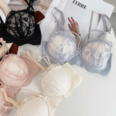 批发纯欲性感蕾丝内衣少女聚拢上托小胸显大文胸无钢圈胸罩