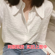 批发2025秋捡漏女装奢侈<b class='q'>品牌</b><b class='q'>折扣</b>原单撤柜提花鱼鳞纹理尖领长袖衬衫