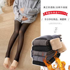 批发空姐灰丝袜孕妇春秋款光腿神器秋冬裸感黑透肤打底裤性感黑丝袜裤