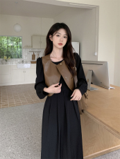 实拍~大码女装2023简约ins风百搭皮马甲泡泡袖中长款连衣裙两件套