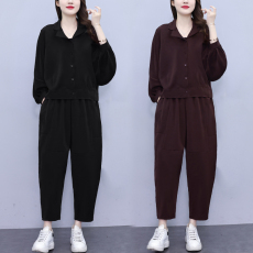 批发实拍2025春季新款洋气大码女装套装胖MM时尚宽松显瘦<b class='q'>哈伦裤</b>两件套