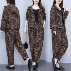 批发实拍大码女装2025秋季新款宽松休闲时尚洋气显瘦气质连帽套装