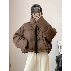 批发ins短款<b class='q'>羽绒服</b>时尚立领棉服面包服2025冬季新款小个子女外套棉衣