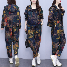 批发实拍大码女装2025秋季新款宽松休闲时尚洋气显瘦气质连帽套装