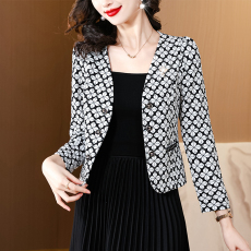 批发中年妈妈贵妇人高级感穿搭百搭<b class='q'>女士</b><b class='q'>小西装</b>时尚洋气短款小香风外套