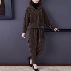 批发2023<b class='q'>秋</b>季中老年纯色套装