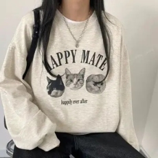 批发薄款，加绒加厚套头<b class='q'>圆领</b><b class='q'>卫衣</b>女学生盐系宽松上衣秋冬季外套慵懒风