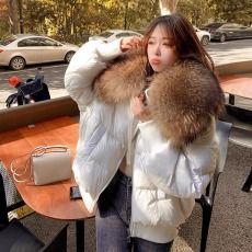 批发白鸭绒羽绒服女2023年新款欧货超大环保貉子可拆卸毛领短款面包服