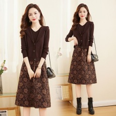 批发高级感<b class='q'>连衣裙</b>女2025年春秋冬新款高端<b class='q'>品牌</b>贵夫人马甲两件套装裙子