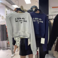 批发十三行2026春<b class='q'>装</b>新款韩版百搭休闲简约字母正肩套头短款卫衣上衣女