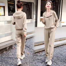 批发欧货休闲运动套装女2026春季新款女装时尚洋气减龄<b class='q'>哈伦</b>裤两件套