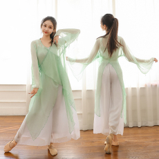 批发古典舞蹈服女开叉喇叭袖仙气飘逸纱衣练功服现代舞演出<b class='q'>服装</b>