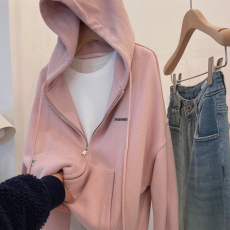 批发<b class='q'>糖果</b><b class='q'>色</b>刺绣字母宽松慵懒百搭连帽拉链卫衣女2023春秋新款开衫外套