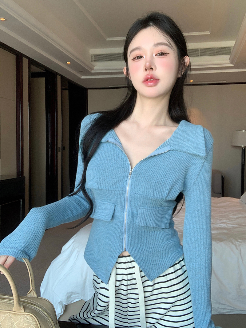 實拍    Polo領拉鏈長袖T恤女短款收腰氣質上衣