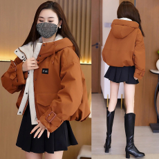 批发2025秋冬<b class='q'>新款</b>高端欧货夹棉外套高级感美拉德加厚派克棉服女装