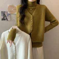 批发实拍2025秋冬新款大码女装<b class='q'>胖</b><b class='q'>mm</b><b class='q'>针织</b>V领马甲毛衣打底衫两件套上衣