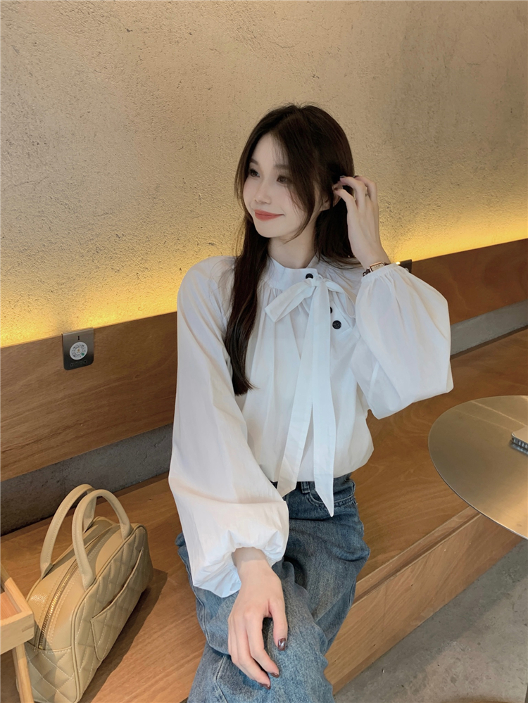 실사 정가 이른 봄 프랑스식 레트로 스탠드 칼라 품격 비스듬한 버클 셔츠 작은 대중 긴팔 디자인 센스 한국 스타일 셔츠