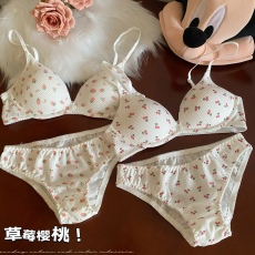 批发实价实拍 甜美水果草莓樱桃胸罩无钢圈聚拢文胸防下垂内衣女