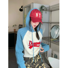批发美式复古字母刺绣长袖连帽针织卫衣女装秋季宽松短款上衣外套修身
