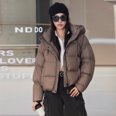 批发官图 2024冬休闲运动加厚棉服立领连帽外套女短款<b class='q'>时尚</b>保暖面包服