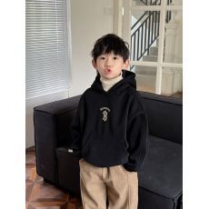 批发纯棉华棉2024<b class='q'>新款</b>男童连帽加绒加厚卫衣冬款女童长袖休闲保暖上衣