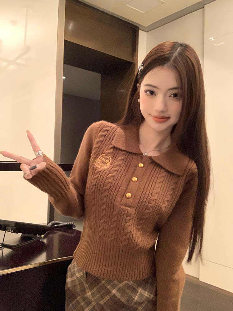 2024春季學院風麻花毛衣女冬季氣質正肩polo領套頭短款針織上衣