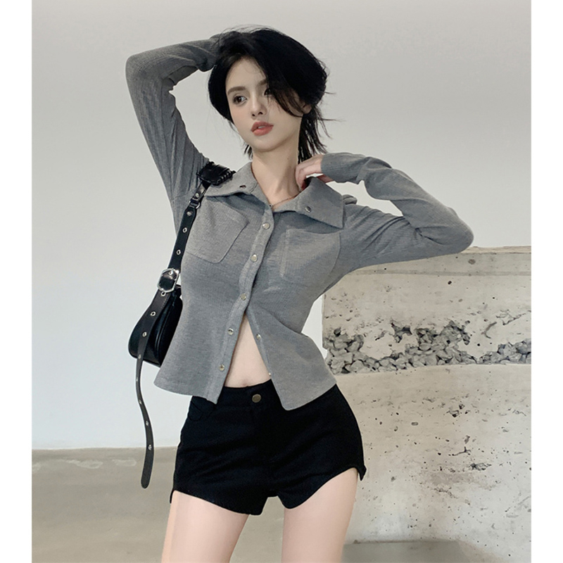 Gray inner wear hot girl women's autumn niche design new lapel shirt temperament long-sleeved bottoming shirt top