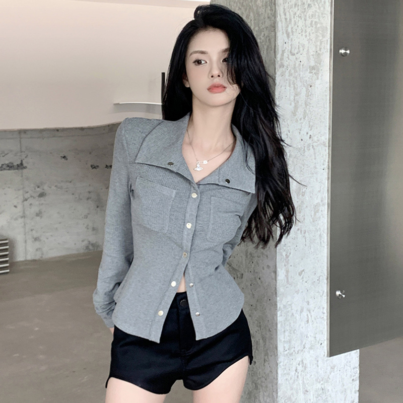 Gray inner wear hot girl women's autumn niche design new lapel shirt temperament long-sleeved bottoming shirt top