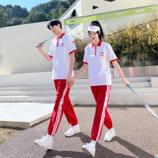 批发情侣装中<b class='q'>小学生</b>班服<b class='q'>校服</b>演出服套装