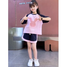 批发女童夏装T恤套装2024新款网红<b class='q'>儿童</b>时髦夏季中大童短袖短<b class='q'>裤</b>两件套