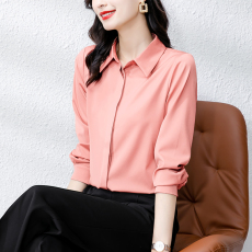 批发实拍2026纯色仿<b class='q'>真丝</b><b class='q'>衬衫</b>简约设计感小众秋款上衣