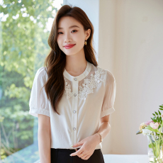 批发2026夏季新款超仙法式高级感白色泡泡短袖V领绣花<b class='q'>雪纺</b><b class='q'>衬衫</b>上衣女
