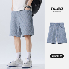 批发实拍2024年夏款新款短裤男宽松直筒透气潮款男士百搭五分裤