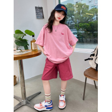 批发女童<b class='q'>套装</b><b class='q'>夏</b>季2026新款网红洋气时髦衣服女孩<b class='q'>宝宝</b>短袖儿童<b class='q'>夏</b>装衣服