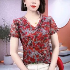 批发现货 2025夏季新款欧洲站短袖网纱<b class='q'>打底衫</b>上衣显瘦气质洋气小衫