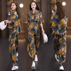 批发实拍2025年洋气大码女装套装胖MM印花时尚宽松显瘦<b class='q'>哈伦裤</b>两件套