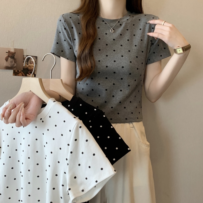 40-count pure cotton 2024 summer short polka dot short-sleeved T-shirt for women slim fit