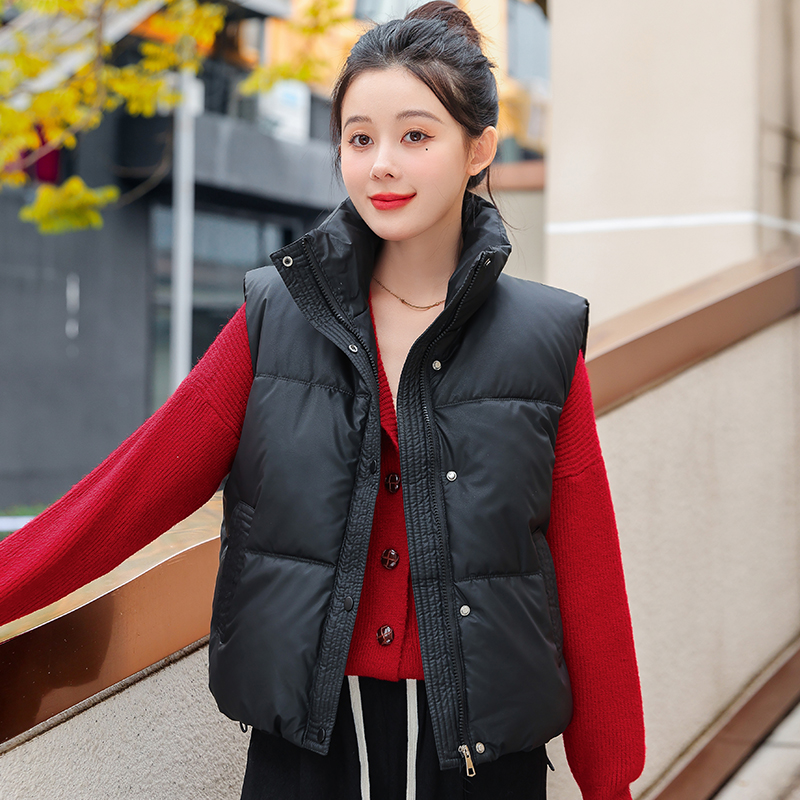 2024 winter loose and versatile sleeveless simple casual cotton clothing new Korean style foreign style short stand collar cotton clothing vest