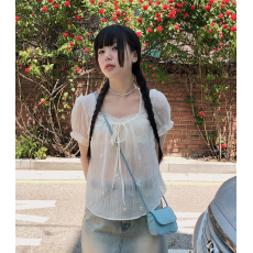 批发韩国 ins 夏日 <b class='q'>清凉</b> 微透 花朵刺绣 短袖 <b class='q'>雪纺衫</b>