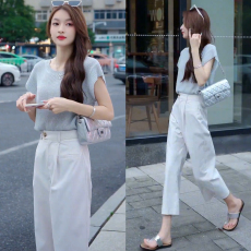 批发2026<b class='q'>夏</b>季新款显瘦纯色百搭T恤+高腰薄款松紧腰九分显瘦直筒裤宽松