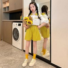 批发女童夏装2026新款女孩洋气休闲短袖短裤套装可爱甜美中大童儿童夏