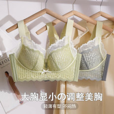 批发<b class='q'>欧美</b>跨境精美蕾丝大码<b class='q'>文胸</b> 时尚撞色柔软舒适透气 U型美背内衣