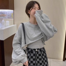 批发韩国外贸设计感两件套短款<b class='q'>卫衣</b>春季新款韩版ins潮小个子<b class='q'>外套</b>上衣