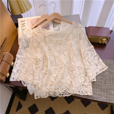 批发实拍春夏装新款勾花镂空蕾丝衫薄款针织套头宽松中袖配裙子罩衣