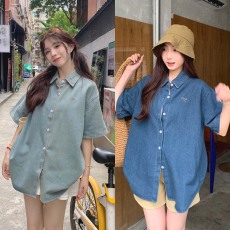 批发夏季复古休闲蝴蝶结刺绣<b class='q'>衬衫女</b>2026新款别致小众Polo领五分袖上衣