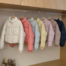 批发2025韩国东大门原版面包服女 立领小个子短款羽绒棉服秋冬短款