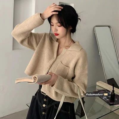 항구 바람 커피 색상 bm 부드러운 찹쌀 니트 스웨터 외출용 카디건 코트 봄 새로운 여성 짧은 맨위