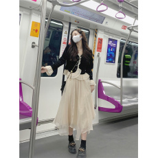 批发金<b class='q'>丝绒</b> 春装新款年温柔<b class='q'>套装</b>仙女纱裙高级气质中长裙两件套女